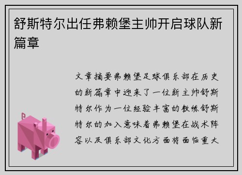 舒斯特尔出任弗赖堡主帅开启球队新篇章